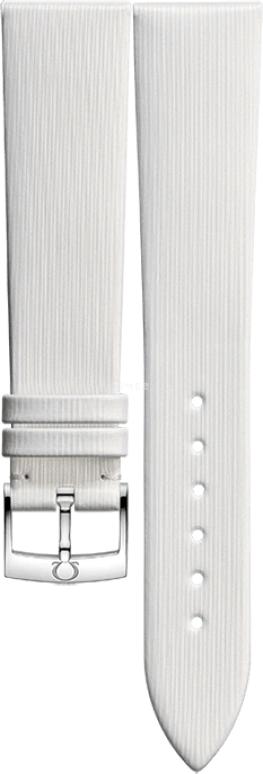 欧米茄,海马AQUA TERRA 150米 38.50毫米,38.50毫米,红金,白色,自动上弦,星期历,同轴擒纵系统,231,231.55.39.21.55.001
