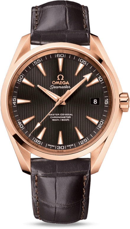 Omega Aqua Terra 231.53.42.21.06.002