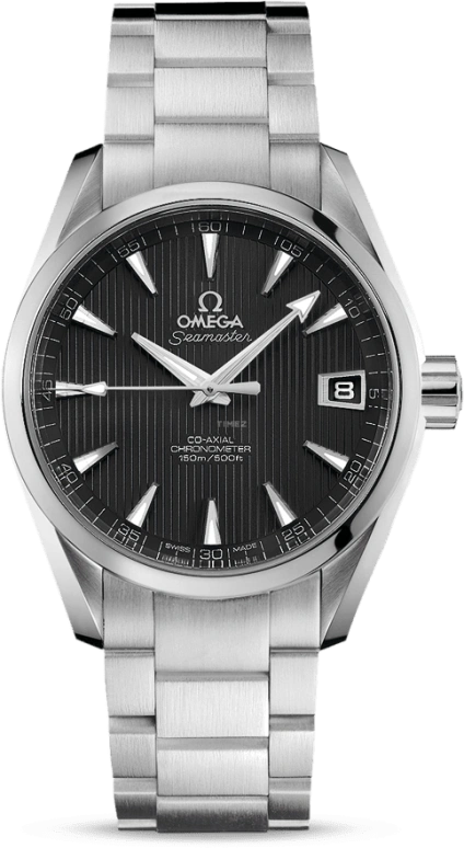 Omega Aqua Terra 231.10.39.21.06.001