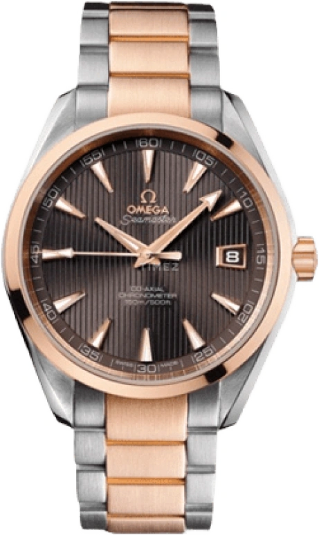 Omega Aqua Terra 231.20.42.21.06.001