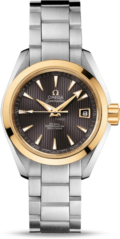 Omega Aqua Terra 231.20.30.20.06.004