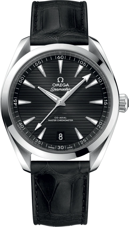 Omega Aqua Terra 220.13.41.21.01.001