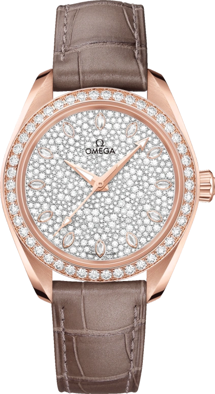 Omega Aqua Terra 220.58.34.20.99.003