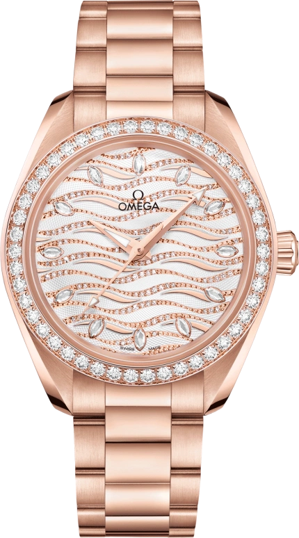 Omega Aqua Terra 220.55.34.20.99.006