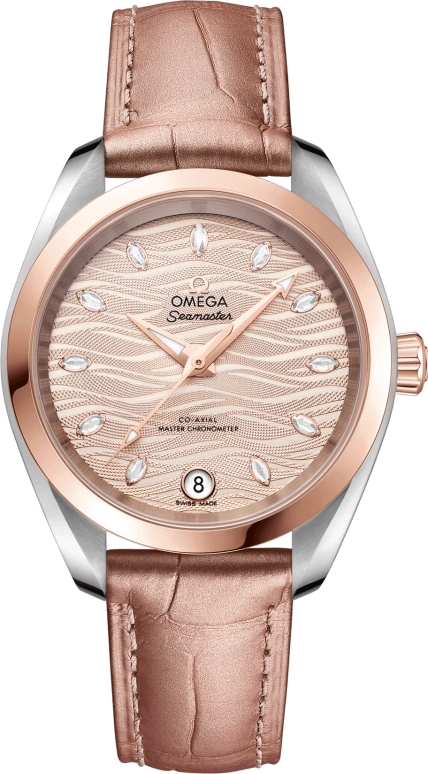 Omega Aqua Terra 220.23.34.20.59.001