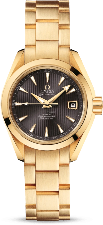 Omega Aqua Terra 231.50.30.20.06.002