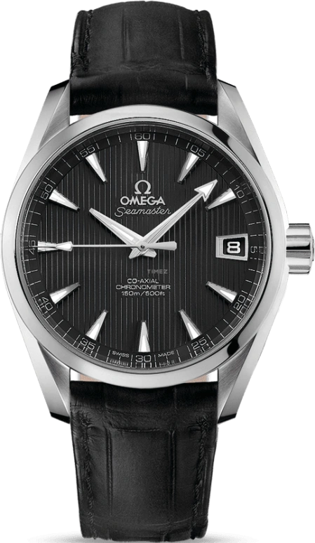 Omega Aqua Terra 231.13.39.21.06.001