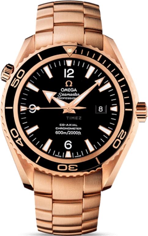 Omega Seamaster Planet Ocean 222.60.46.20.01.001