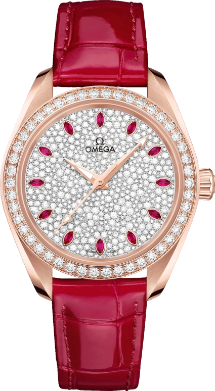 Omega Aqua Terra 220.58.34.20.99.001