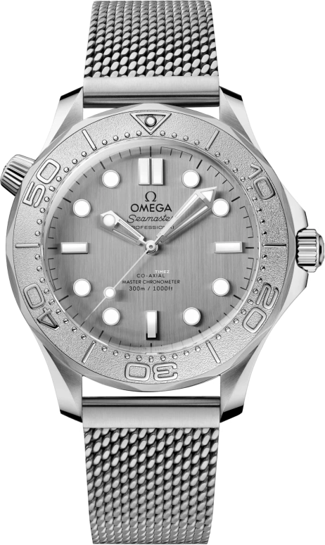 Omega Seamaster Diver 300M 210.30.42.20.06.002