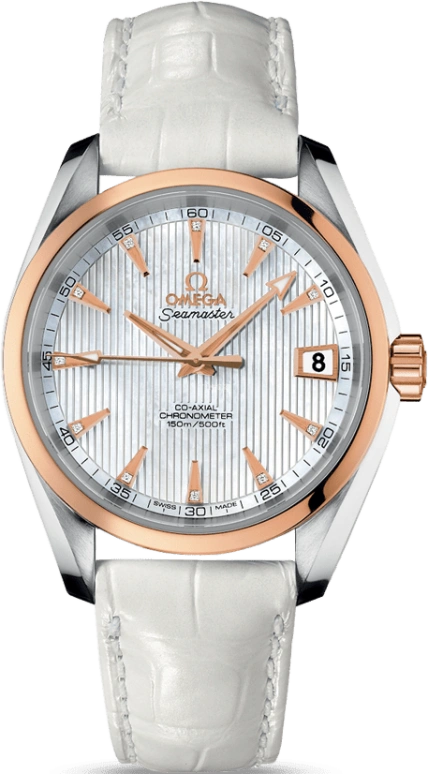 Omega Aqua Terra 231.23.39.21.55.001