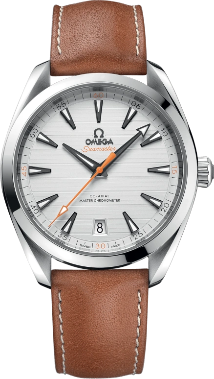 Omega Aqua Terra 220.12.41.21.02.001