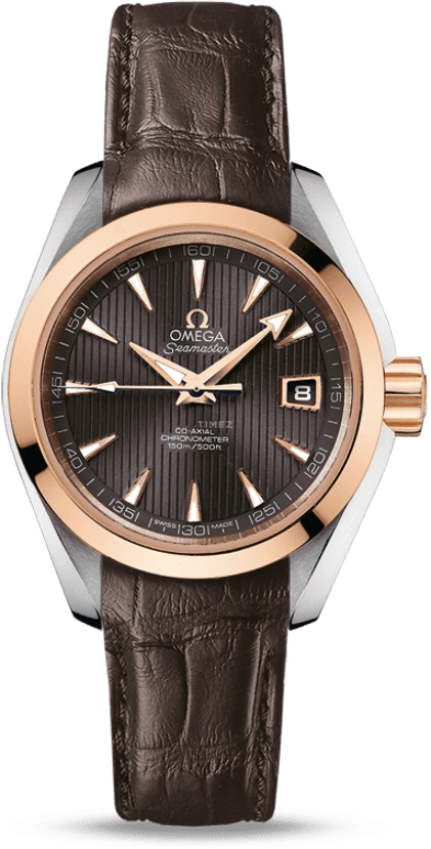 Omega Aqua Terra 231.23.30.20.06.001