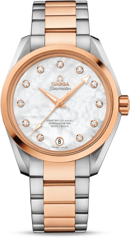 Omega Aqua Terra 231.20.39.21.55.003