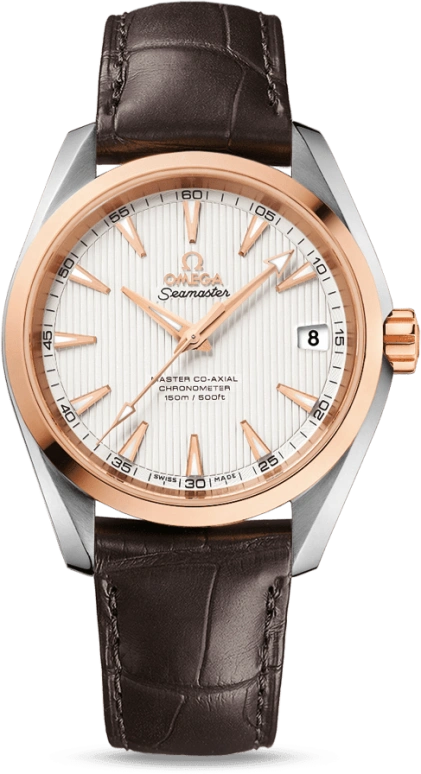 Omega Aqua Terra 231.23.39.21.02.001