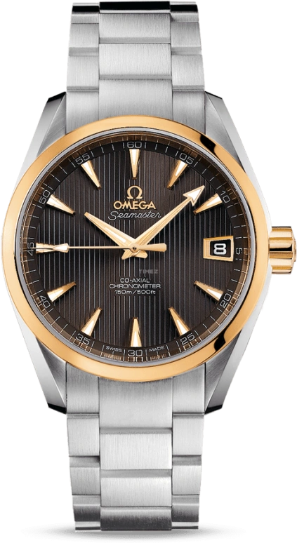 Omega Aqua Terra 231.20.39.21.06.004