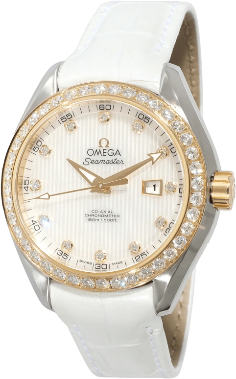 Omega Aqua Terra 231.28.34.20.55.001