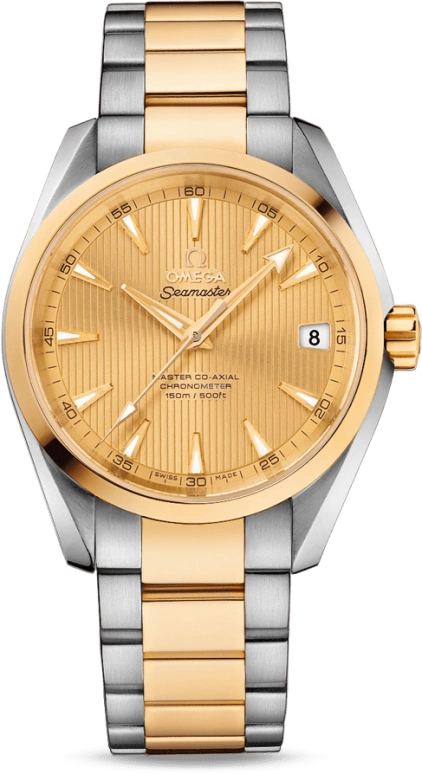 Omega Aqua Terra 231.20.39.21.08.001