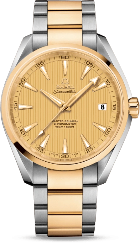 Omega Aqua Terra 231.20.42.21.08.001