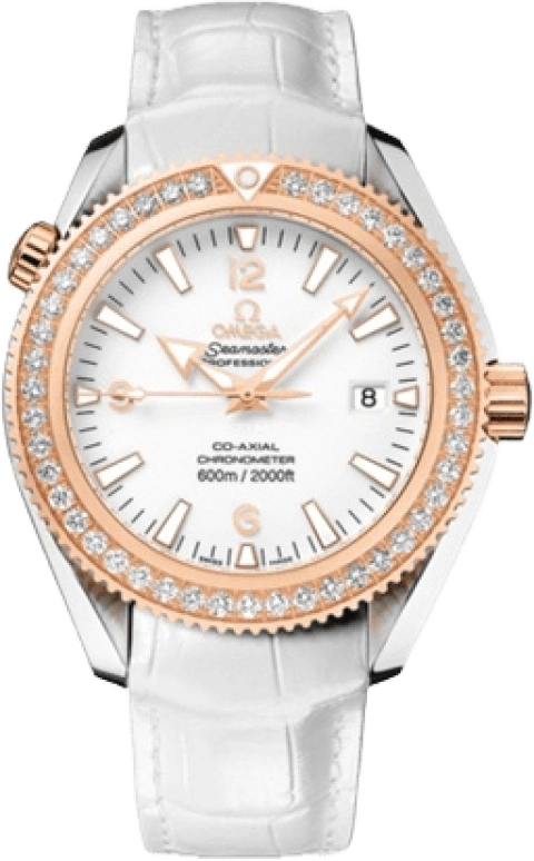Omega Seamaster Planet Ocean 222.28.42.20.04.001