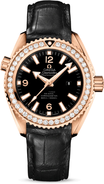Omega Seamaster Planet Ocean 232.58.38.20.01.001