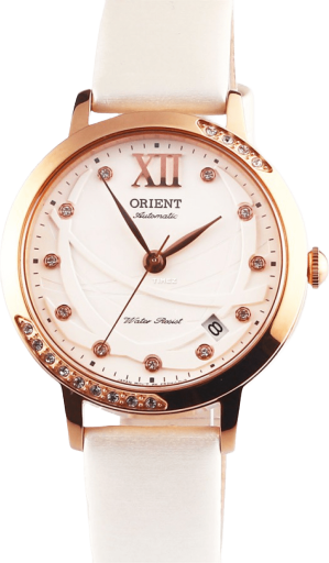 东方双狮 其它 FER2H003W