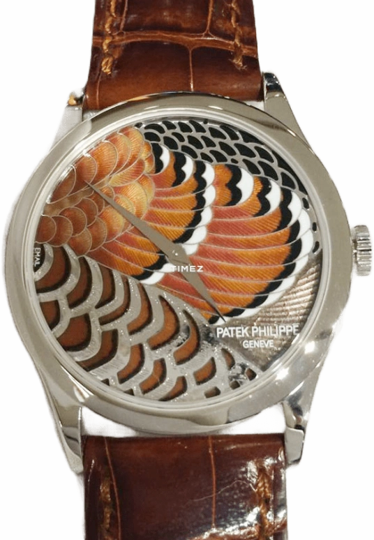 百达翡丽 Calatrava 5077P Feathers