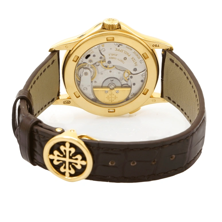 Patek Philippe,Complications 37mm,37mm,Yellow Gold,Silver,Automatic,World Time,48hours,5110J,5110J-001