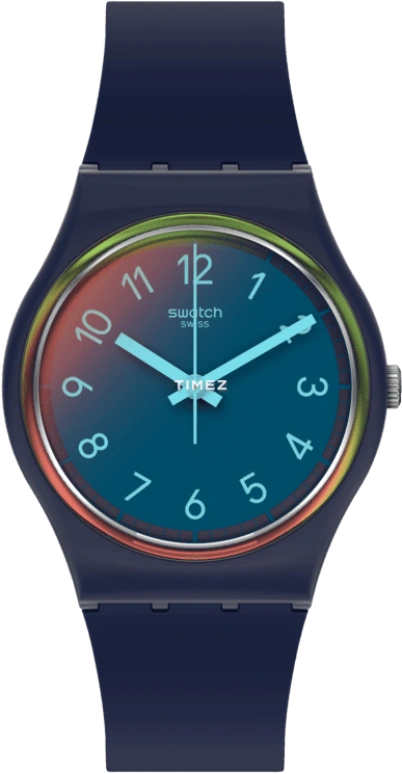 Swatch Originals SO28N110