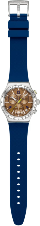 斯沃琪,IRONY 43毫米,43毫米,精钢,棕色,石英,计时,日历,YVS534