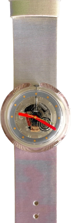 Swatch Other PWK191