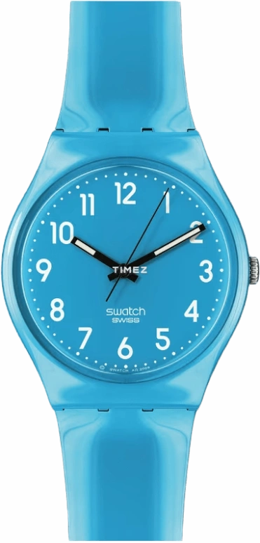Swatch CLASSIC GS138