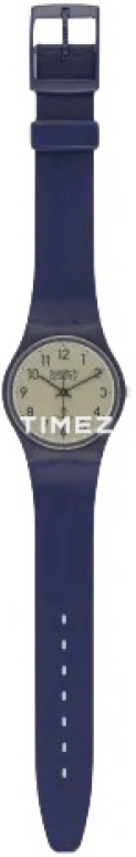 Swatch Other GN100FH