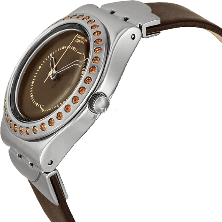 Swatch,CLASSIC 33mm,33mm,Stainless Steel,Coffee,Brown,Quartz,Tonneau,Silver,YLS171