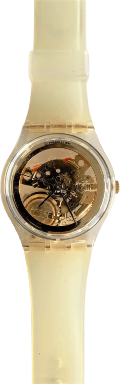 Swatch Other GZ115