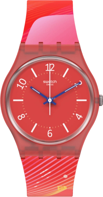 Swatch Originals SO28Z105