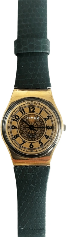 Swatch Other LX100