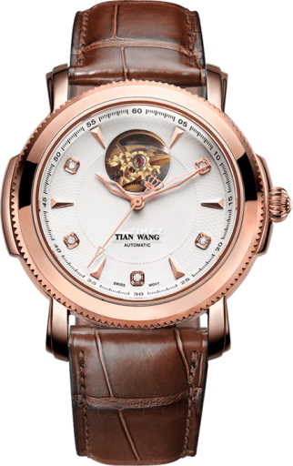 tian-wang tian-wang-elite 