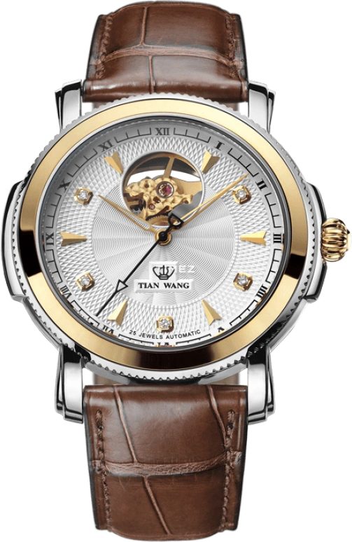 tian-wang tian-wang-elite 