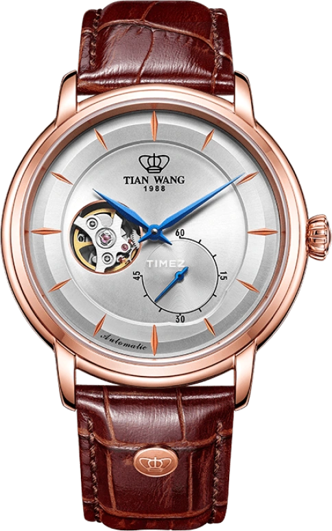 TianWang,Permanent ,Stainless Steel,Silver,Grey,Automatic,Sapphire,Crystal Glass,Round,GS5940P,GS5940P.D.LC.W
