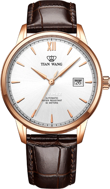 TIMEZ TianWang Kunlun GS5999P.D.LC.S Features|Prices|Auction ...