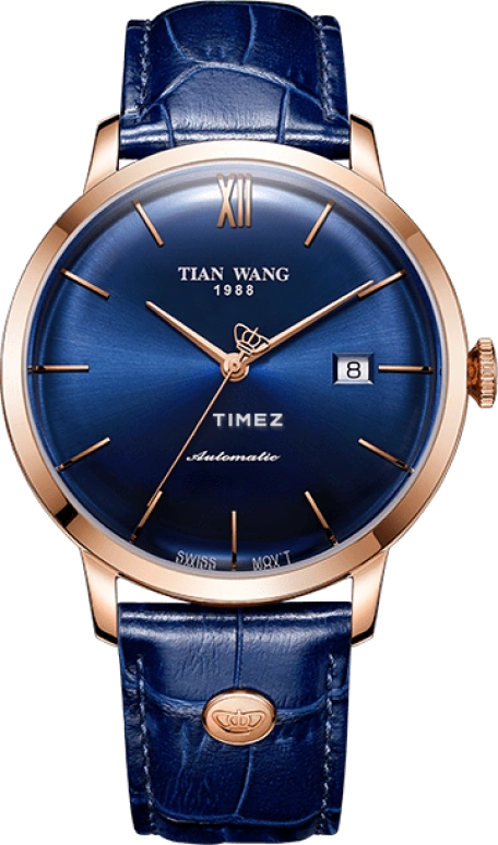 TianWang MI·X GS51013P.D.LU.U