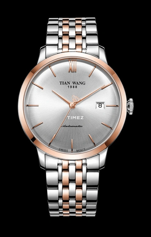 TianWang,MI·X 40.60mm,40.60mm,Stainless Steel,Silver White,Automatic,Day,Glass,GS51014TP,GS51014TP.D.TP.S
