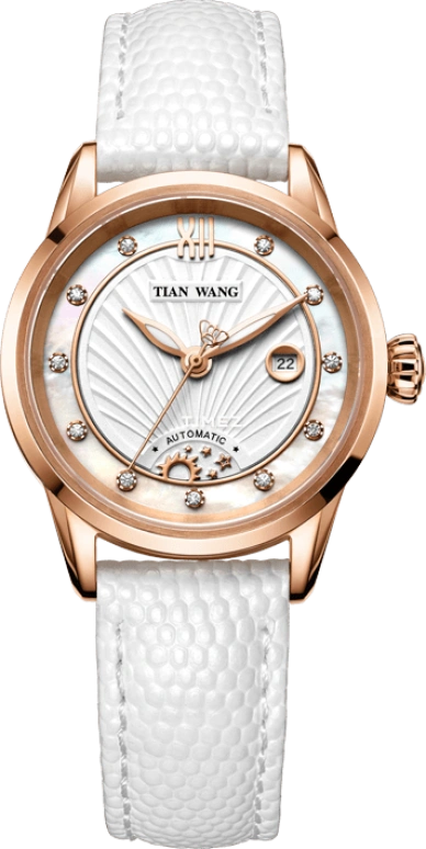 tian-wang tian-wang-leader 