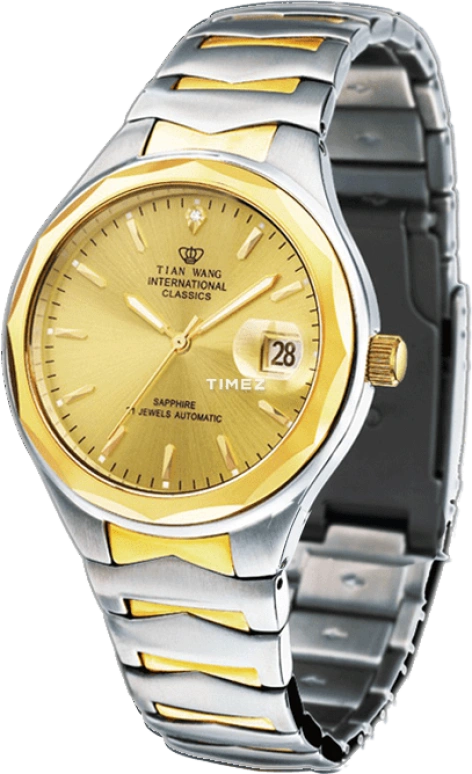 TianWang Permanent GS5363T/D