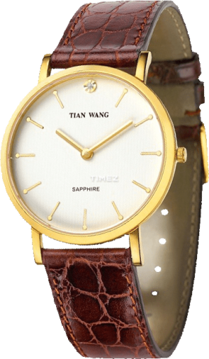 tian-wang tian-wang-learned 