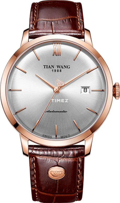 TianWang MI·X GS51013P.D.LC.S