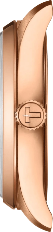 天梭,PR 100 34毫米,34毫米,精钢,棕色,石英,日历,蓝宝石,水晶玻璃,T150,T150.210.33.291.00