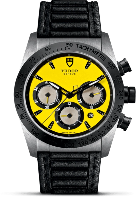 Tudor Fastrider