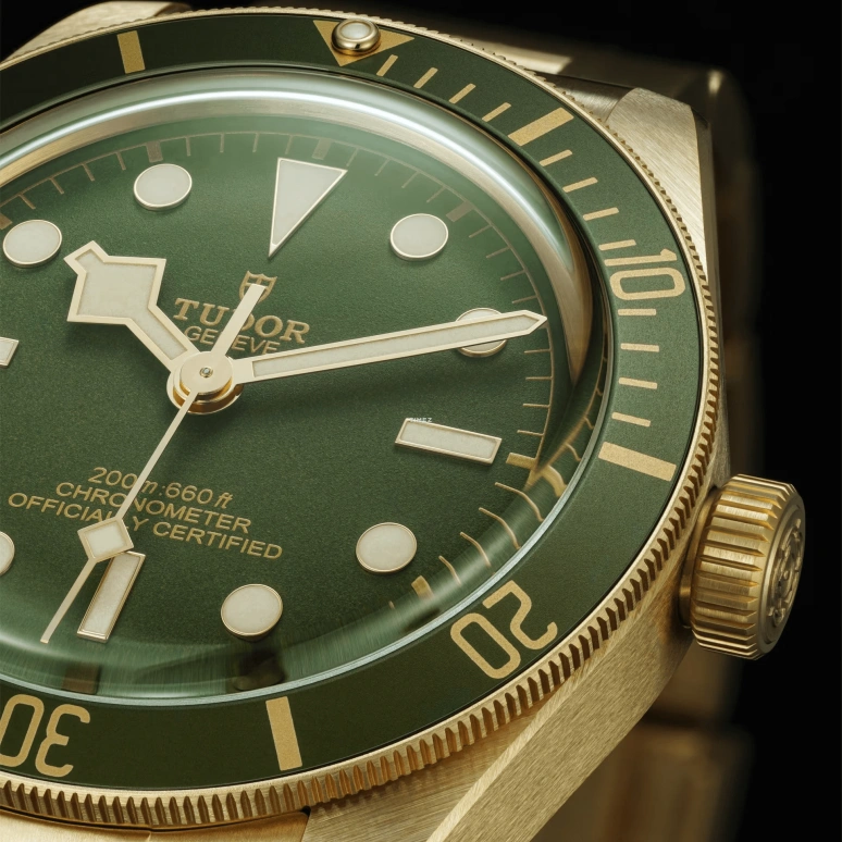 Tudor,Black Bay 58 39mm,39mm,Yellow Gold,Green,Automatic,70hours,In-house Caliber,79018V,79018V-0006